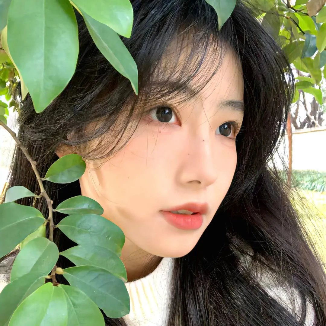 鼠洞里的好朋友